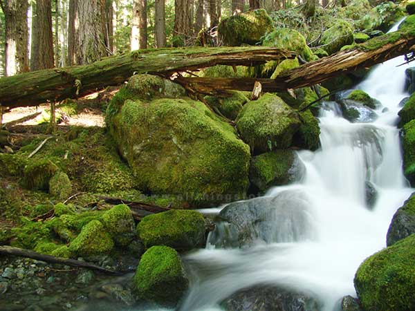 Image of Crest Mountain Creek using the f/8 and be there rule