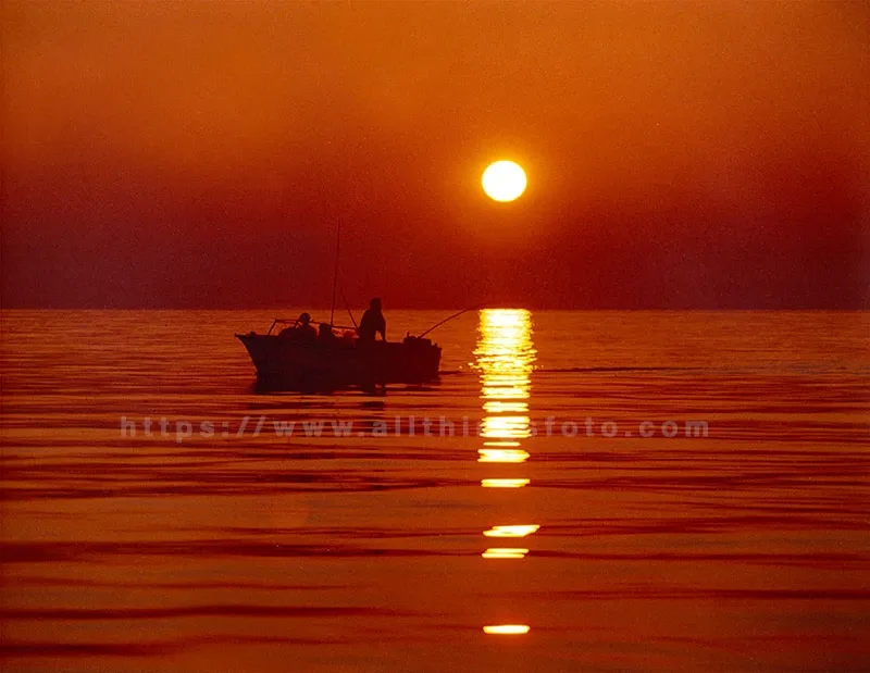 This beautiful photo was taken in my early years with a 35mm Olympus OM-1 camera while fishing. I used an orange filter to enhance the orange hues from the sun shining though the water particles of the foggy morning.