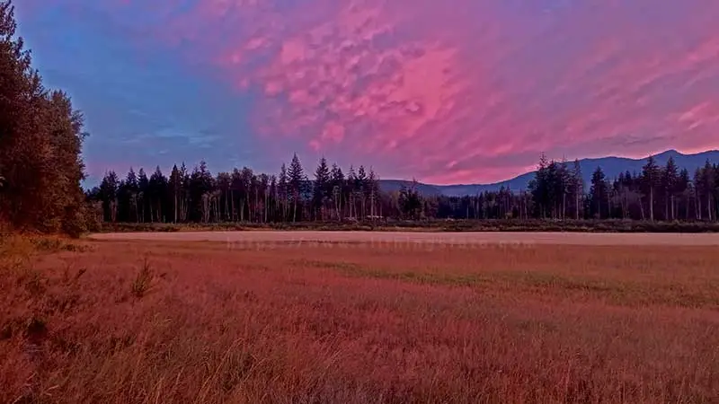 This sunset photo is more about capturing the hues of the cloud patterns in the sky and warm colors on the grass.  The actual sunset was to the right of this composition.