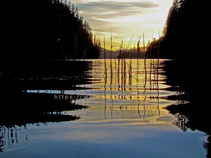 When photographing sunrises and sunsets try to choose a different perspective as I did in this photo of some reeds close to shore on Kathleen Lake, Vancouver Island.