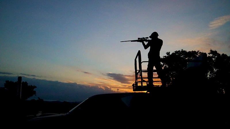 Photo of a hunter shooting from the top of his vehicle