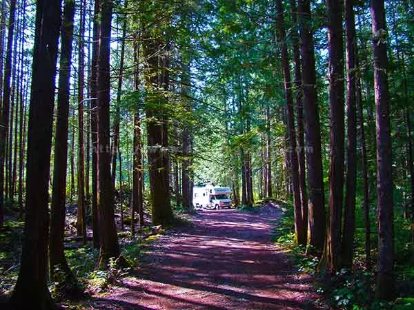 image using photography's leading lines technique to show the viewer to the RV in the woods.