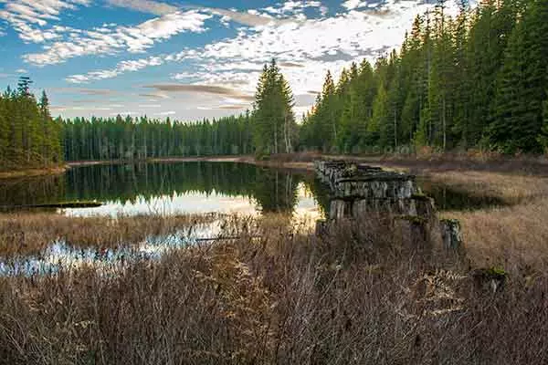 in this image the leading line is the old railway trestle