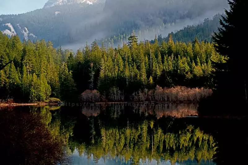 image of capturing the perfect reflection in winter of Drum Lake in Strathcona Park on Vancouver Island Canada