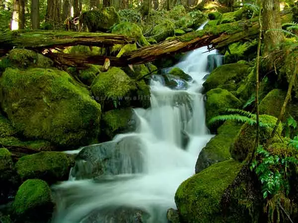 Landscape photo of Crest Creek using a ND4 filter and slow shutter speed to make the water look creamy