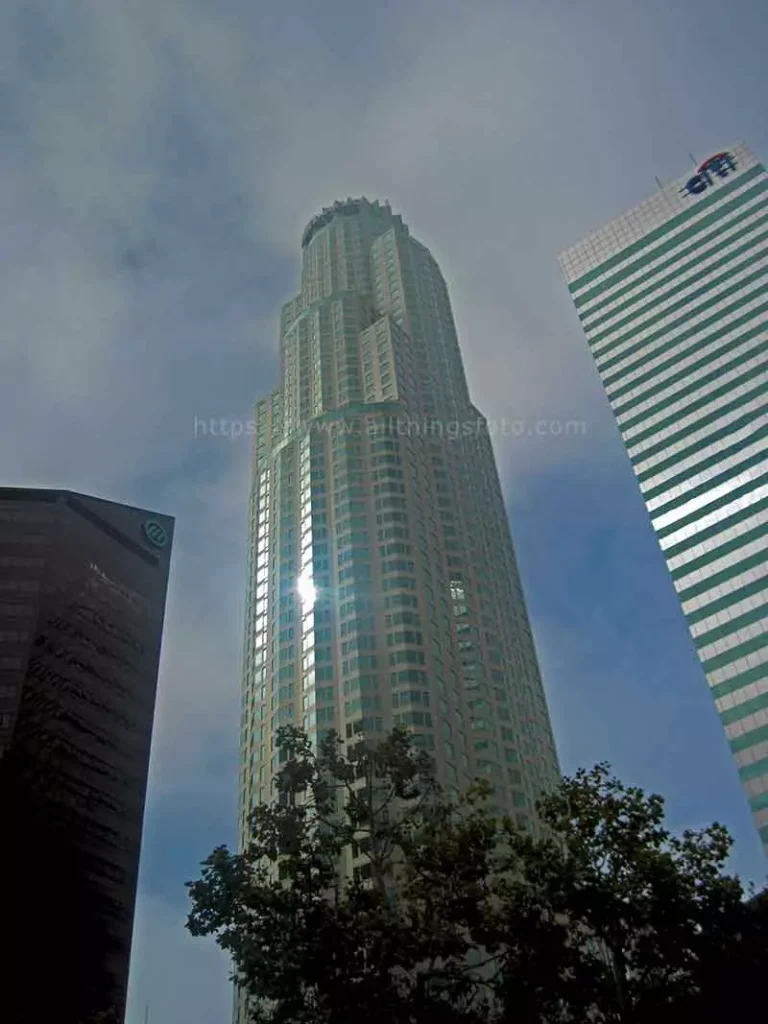 photo of a tall building with a distracting tree in the foreground